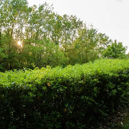 Charming In With Private Pool Alvignano